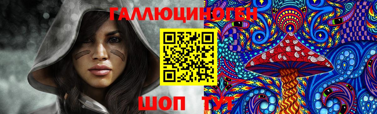Знаменск  Псилоцибиновые грибы Psilocybe  Вход с VPN  Псилоцибиновые грибы Psilocybe 